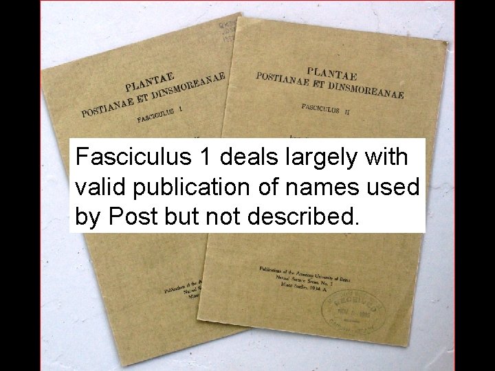 Fasciculus 1 deals largely with valid publication of names used by Post but not