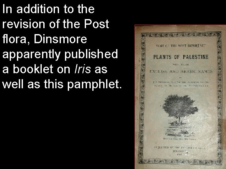 In addition to the revision of the Post flora, Dinsmore apparently published a booklet