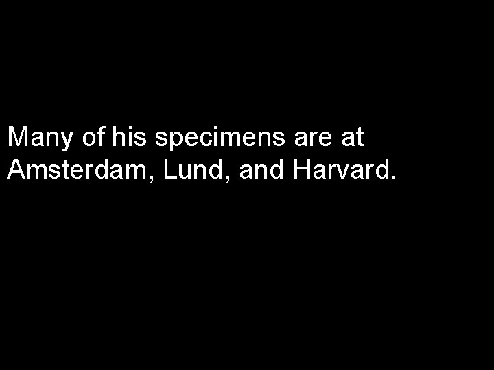 Many of his specimens are at Amsterdam, Lund, and Harvard. 