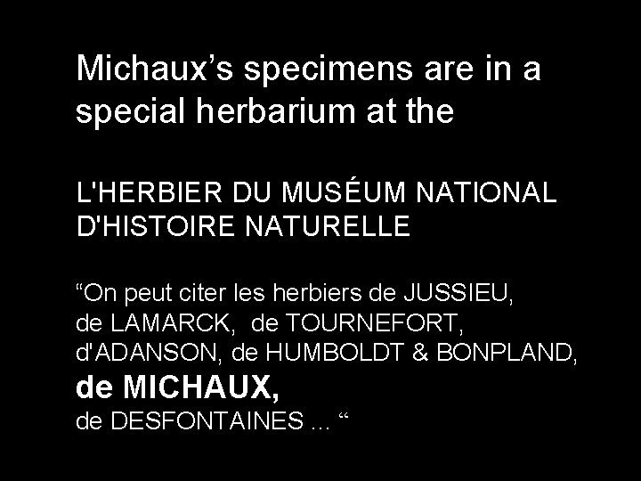 Michaux’s specimens are in a special herbarium at the L'HERBIER DU MUSÉUM NATIONAL D'HISTOIRE