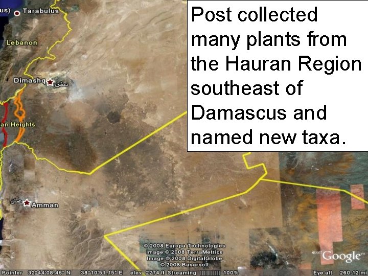 Post collected many plants from the Hauran Region southeast of Damascus and named new