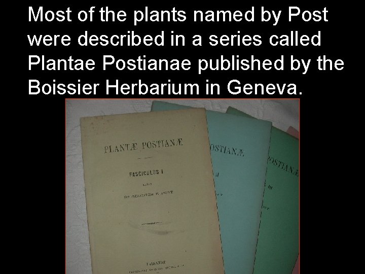 Most of the plants named by Post were described in a series called Plantae