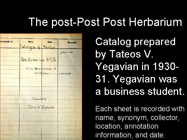 The post-Post Herbarium Catalog prepared by Tateos V. Yegavian in 193031. Yegavian was a