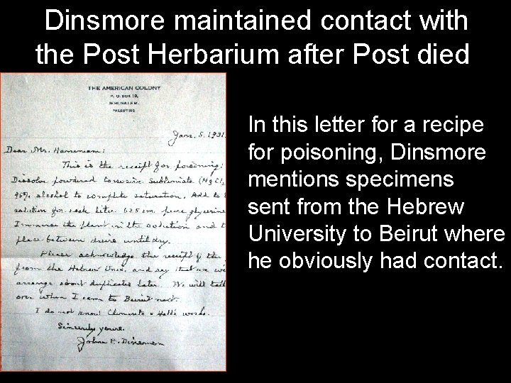 Dinsmore maintained contact with the Post Herbarium after Post died In this letter for