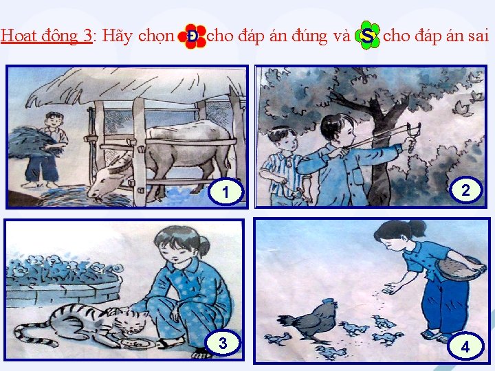 Hoạt động 3: Hãy chọn cho đáp án đúng và S cho đáp án