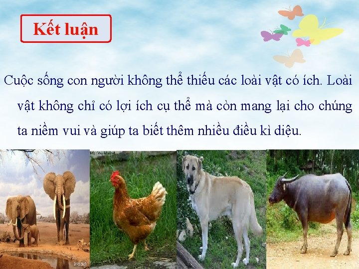 Kết luận Cuộc sống con người không thể thiếu các loài vật có ích.