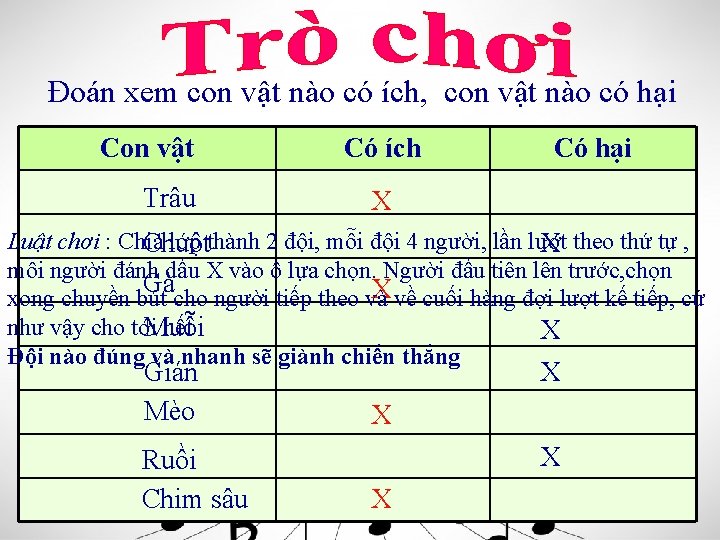 Đoán xem con vật nào có ích, con vật nào có hại Con vật