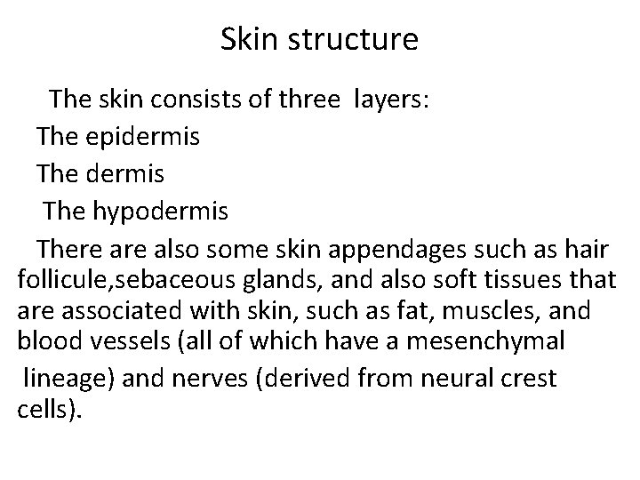 Skin structure The skin consists of three layers: The epidermis The hypodermis There also