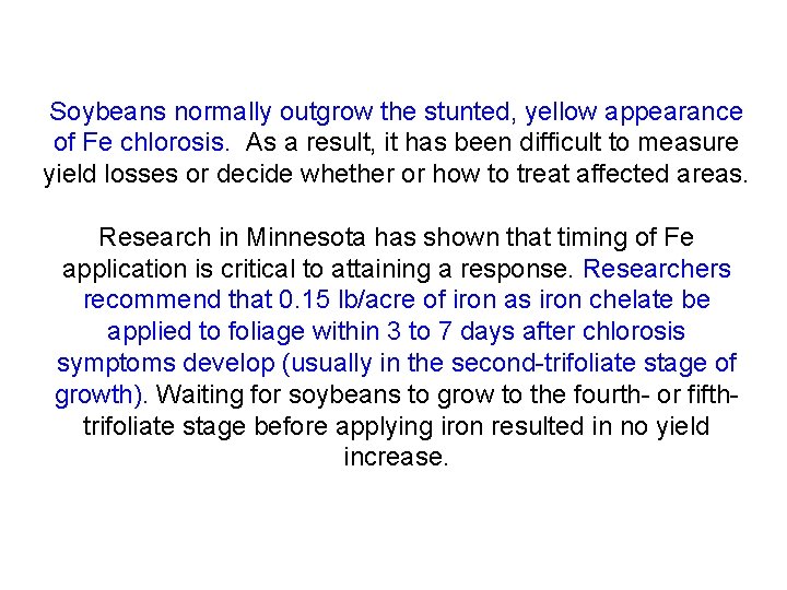 Soybeans normally outgrow the stunted, yellow appearance of Fe chlorosis. As a result, it