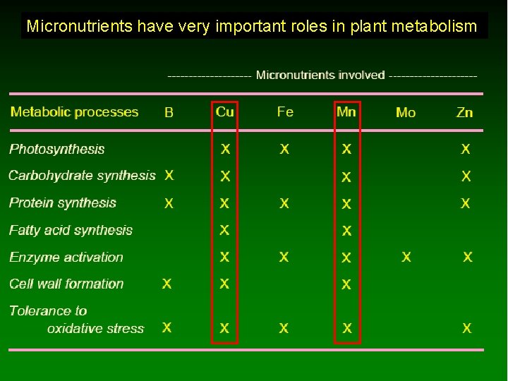 Micronutrients have very important roles in plant metabolism 