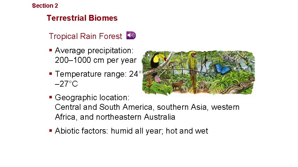 Section 2 Communities, Biomes, and Ecosystems Terrestrial Biomes Tropical Rain Forest § Average precipitation: