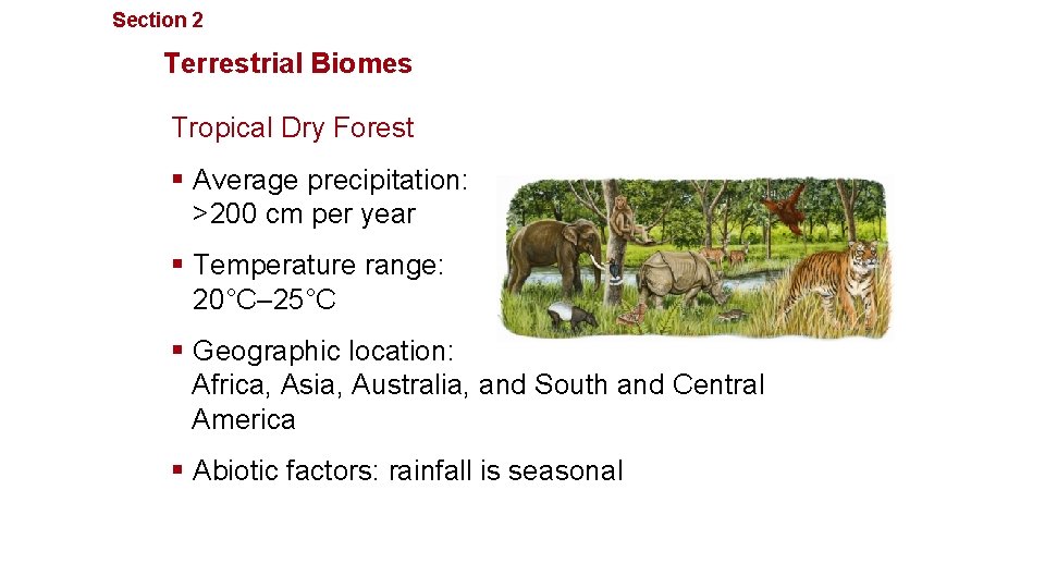 Section 2 Communities, Biomes, and Ecosystems Terrestrial Biomes Tropical Dry Forest § Average precipitation: