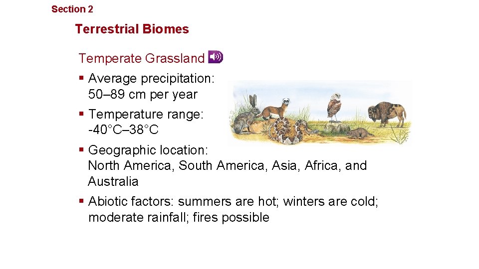 Section 2 Communities, Biomes, and Ecosystems Terrestrial Biomes Temperate Grassland § Average precipitation: 50–