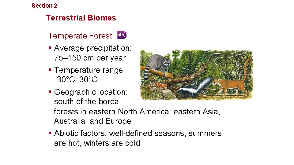 Section 2 Communities, Biomes, and Ecosystems Terrestrial Biomes Temperate Forest § Average precipitation: 75–