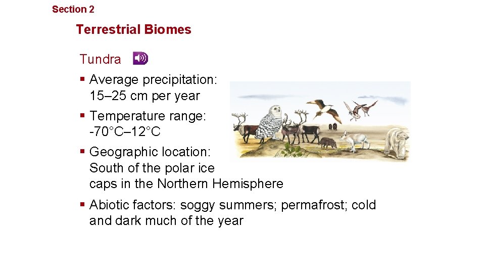 Section 2 Communities, Biomes, and Ecosystems Terrestrial Biomes Tundra § Average precipitation: 15– 25