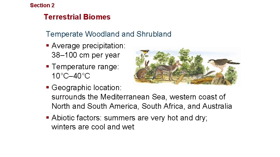 Section 2 Communities, Biomes, and Ecosystems Terrestrial Biomes Temperate Woodland Shrubland § Average precipitation: