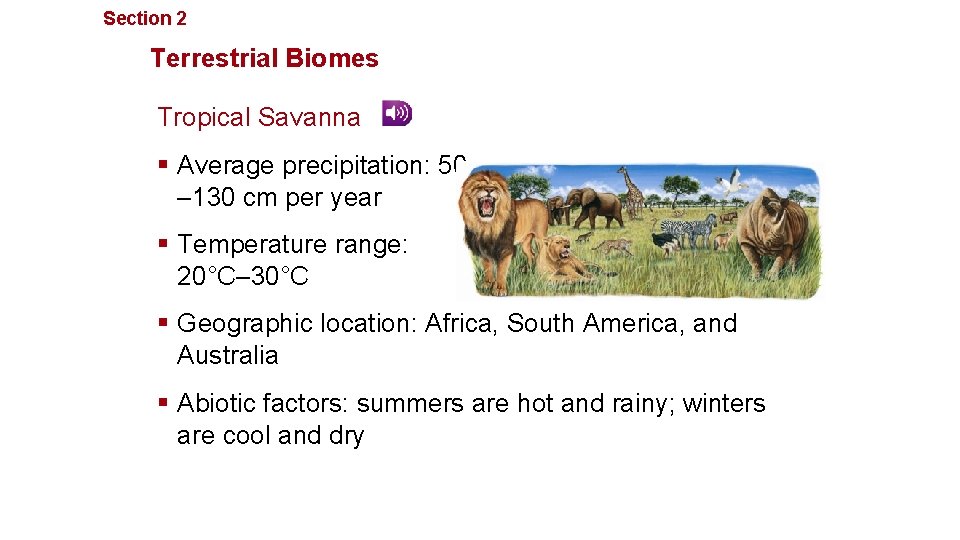 Section 2 Communities, Biomes, and Ecosystems Terrestrial Biomes Tropical Savanna § Average precipitation: 50