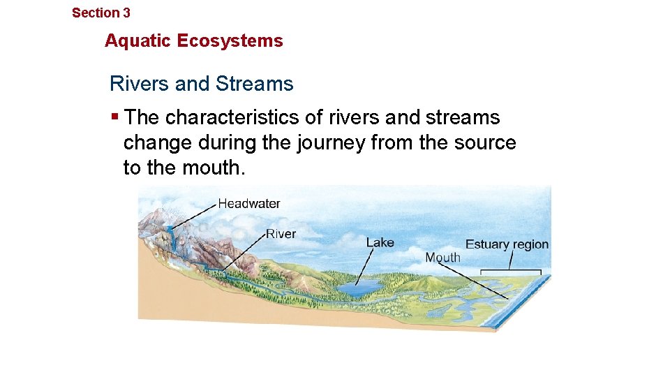 Section 3 Communities, Biomes, and Ecosystems Aquatic Ecosystems Rivers and Streams § The characteristics
