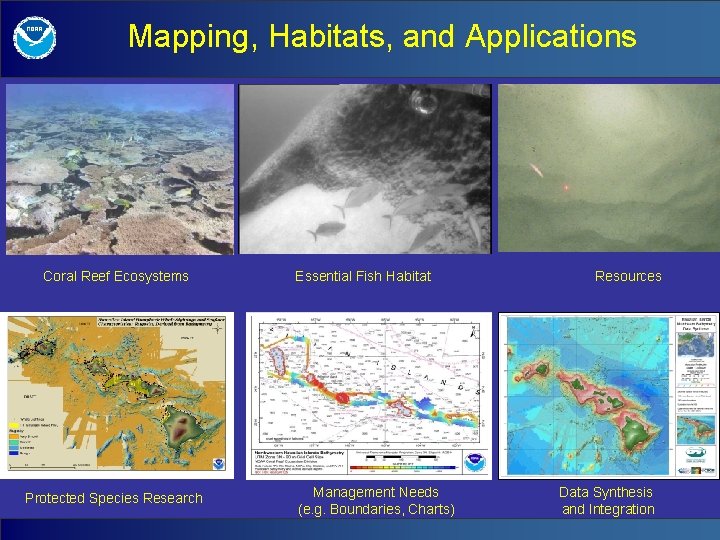 Mapping, Habitats, and Applications Coral Reef Ecosystems Protected Species Research Essential Fish Habitat Management