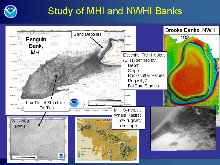Study of MHI and NWHI Banks Penguin Bank, MHI Low Relief Structures On Top