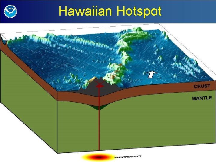 Hawaiian Hotspot 