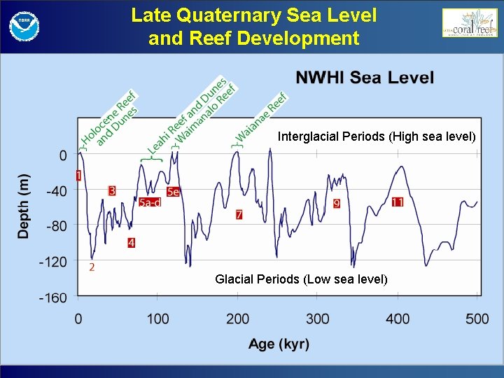 Late Quaternary Sea Level and Reef Development Interglacial Periods (High sea level) Glacial Periods
