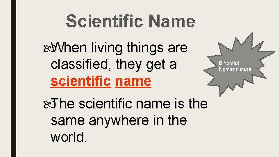 Scientific Name When living things are classified, they get a scientific name. The scientific