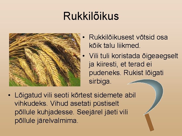 Rukkilõikus • Rukkilõikusest võtsid osa kõik talu liikmed. • Vili tuli koristada õigeaegselt ja