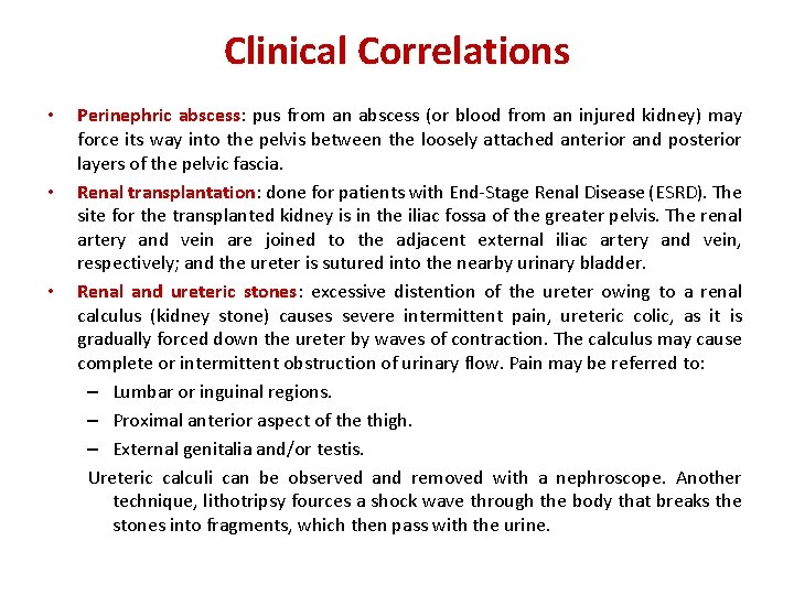 Clinical Correlations • • • Perinephric abscess: abscess pus from an abscess (or blood