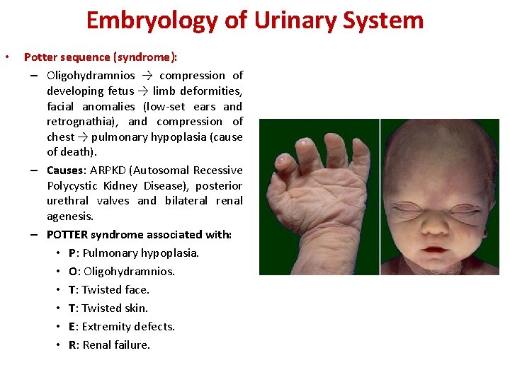 Kingdom of Bahrain Arabian Gulf University College of