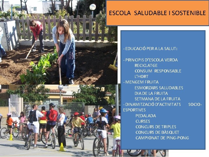 ESCOLA SALUDABLE I SOSTENIBLE - EDUCACIÓ PER A LA SALUT: - PRINCIPIS D’ESCOLA VERDA