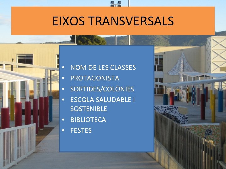 EIXOS TRANSVERSALS NOM DE LES CLASSES PROTAGONISTA SORTIDES/COLÒNIES ESCOLA SALUDABLE I SOSTENIBLE • BIBLIOTECA