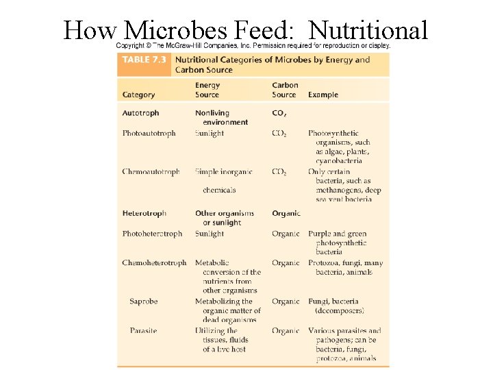 How Microbes Feed: Nutritional Types 