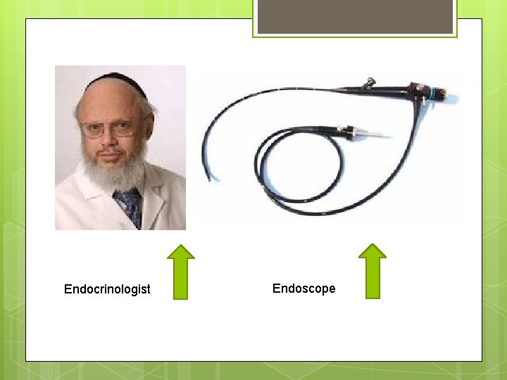 Endocrinologist Endoscope 