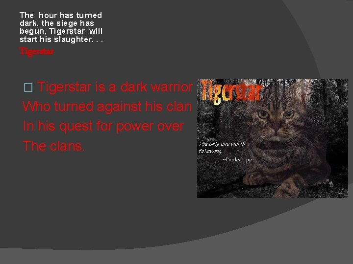 The hour has turned dark, the siege has begun, Tigerstar will start his slaughter.