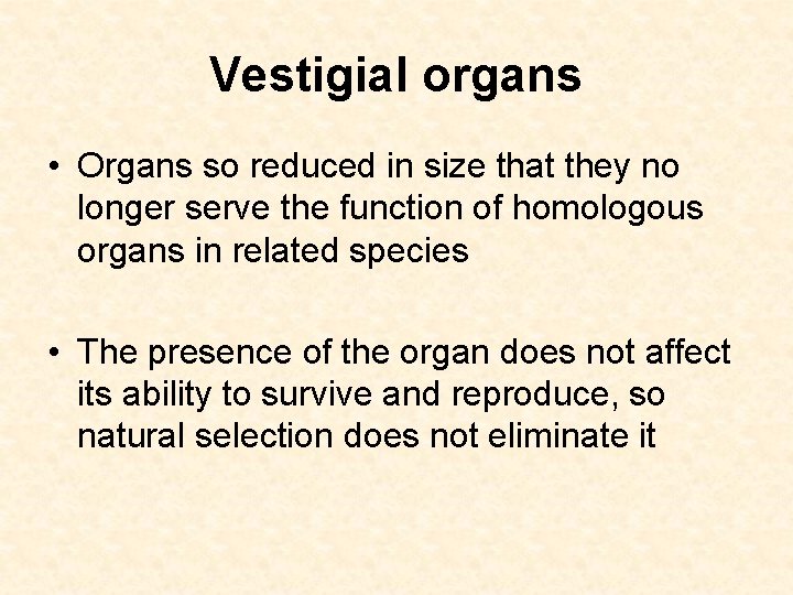 Vestigial organs • Organs so reduced in size that they no longer serve the