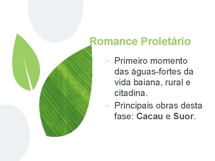 Romance Proletário ⊷ ⊷ Primeiro momento das águas-fortes da vida baiana, rural e citadina.