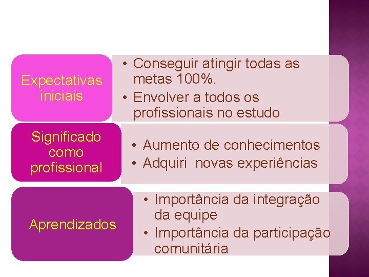 Expectativas iniciais Significado como profissional Aprendizados • Conseguir atingir todas as metas 100%. •