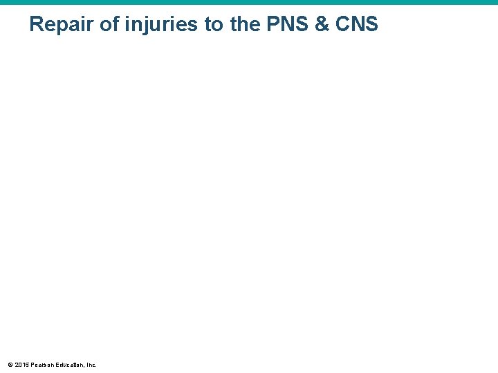 Repair of injuries to the PNS & CNS © 2015 Pearson Education, Inc. 