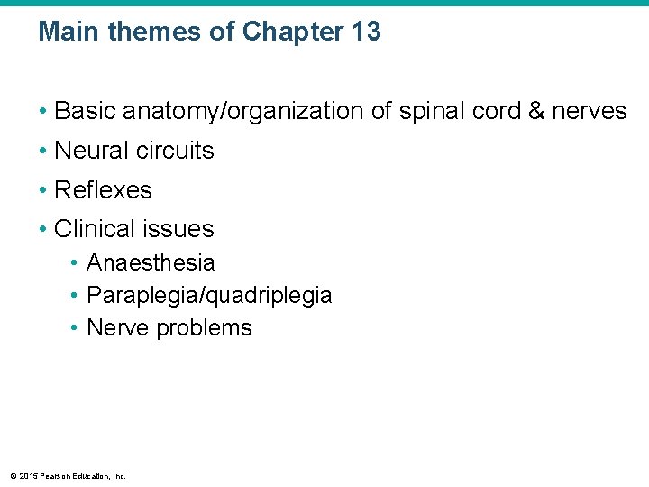 Main themes of Chapter 13 • Basic anatomy/organization of spinal cord & nerves •