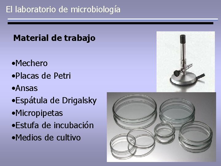 El laboratorio de microbiología Material de trabajo • Mechero • Placas de Petri •