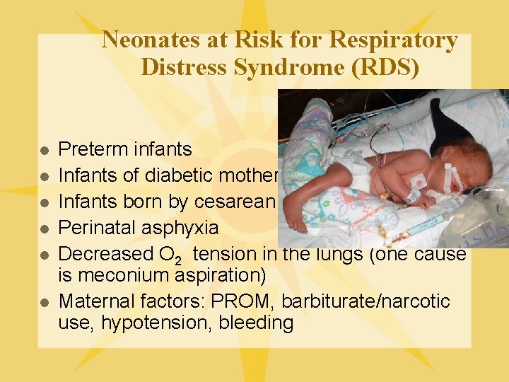 Neonates at Risk for Respiratory Distress Syndrome (RDS) l l l Preterm infants Infants