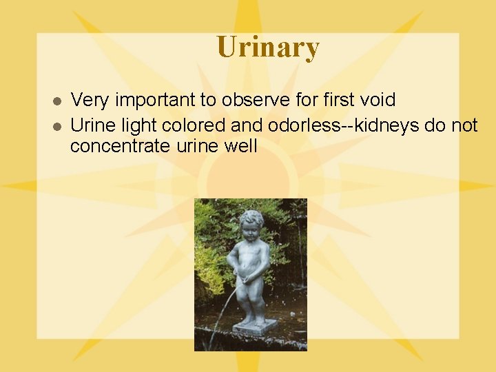 Urinary l l Very important to observe for first void Urine light colored and