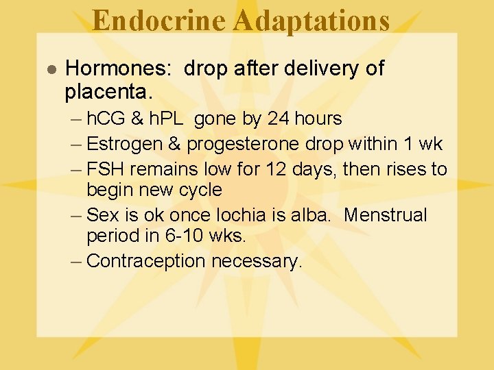 Endocrine Adaptations l Hormones: drop after delivery of placenta. – h. CG & h.