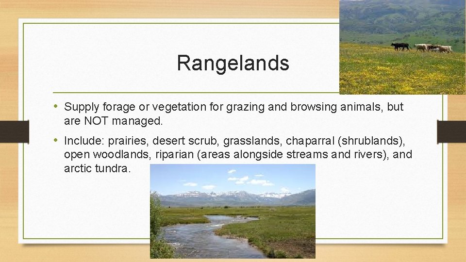 Rangelands • Supply forage or vegetation for grazing and browsing animals, but are NOT