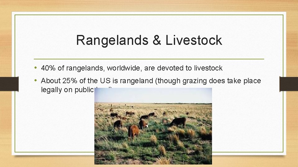 Rangelands & Livestock • 40% of rangelands, worldwide, are devoted to livestock • About