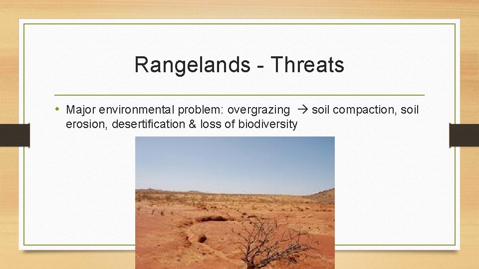 Rangelands - Threats • Major environmental problem: overgrazing soil compaction, soil erosion, desertification &