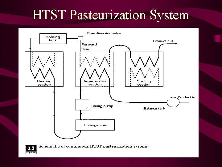 HTST Pasteurization System 