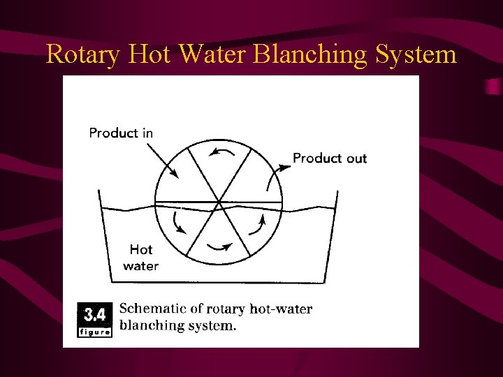 Rotary Hot Water Blanching System 