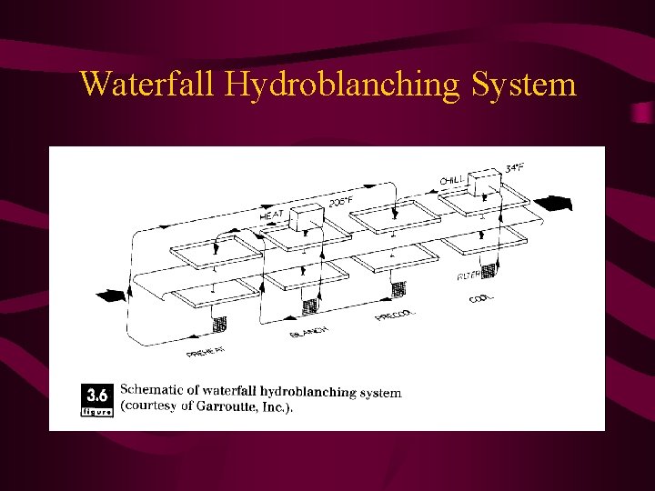 Waterfall Hydroblanching System 